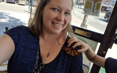 Raising Monarch butterflies with children