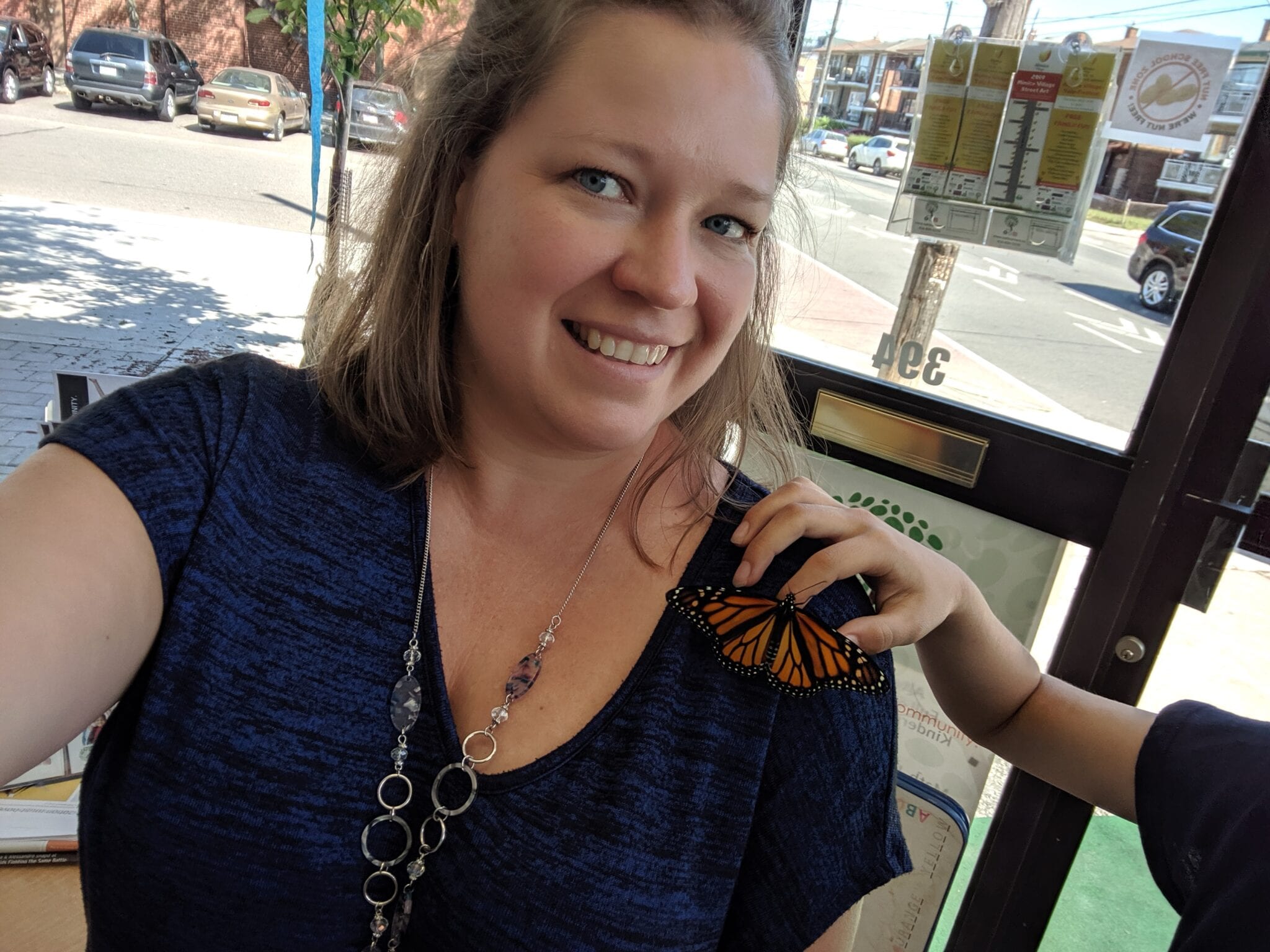 raising monarch butterflies