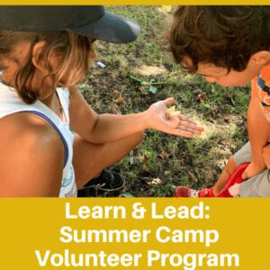 learn and lead summer volunteer program