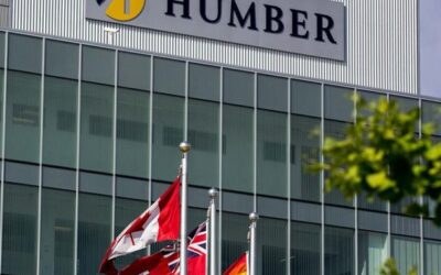 Partner Showcase: Humber College Placement Student