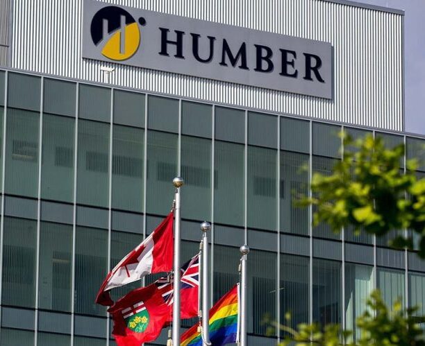 Partner Showcase: Humber College Placement Student
