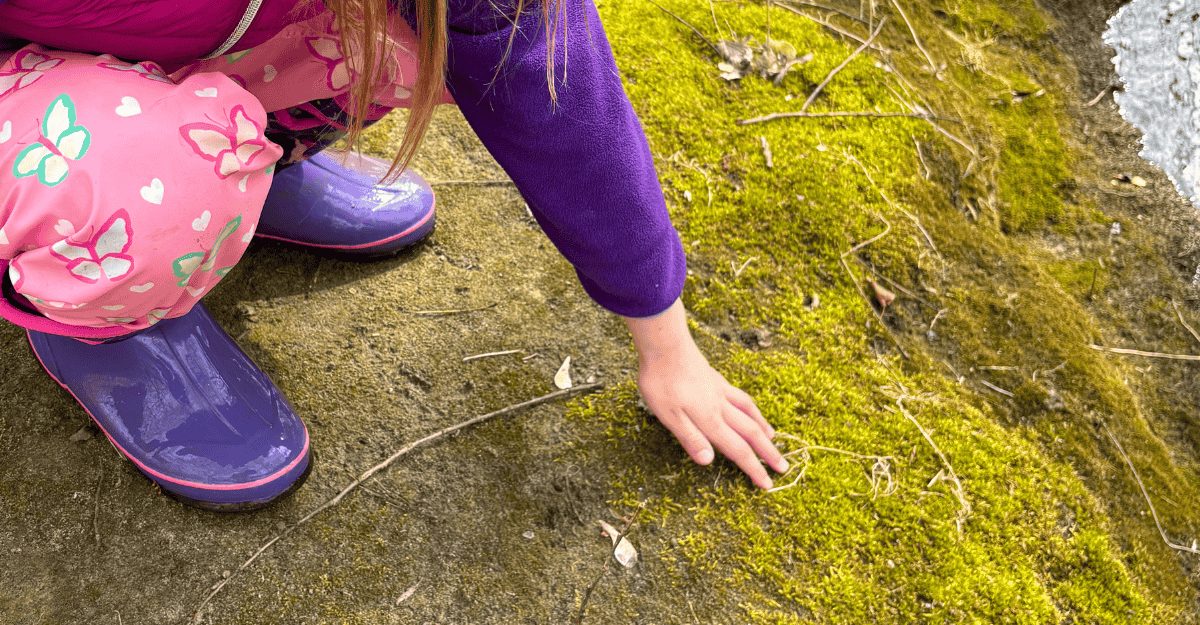 Nature-Based Learning for Kids In Toronto