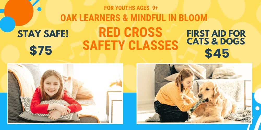 Safe Course Stay Safe Course June 29 - Oak Learners